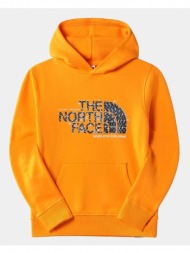 the north face παιδική μπλούζα με kουκούλα (9000115501_61995)