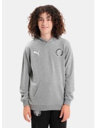 puma teamgoal casuals hoody jr (9000201269_81063)
