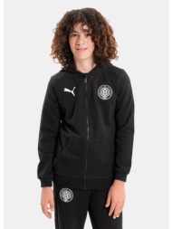 puma teamgoal casuals ...