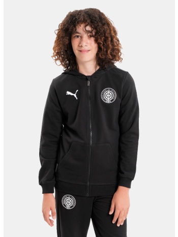 puma teamgoal casuals hooded jacket jr (9000201272_22501)