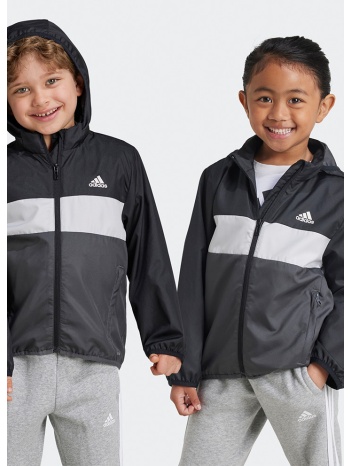 adidas sportswear lk tiberio wb (9000187618_43281)