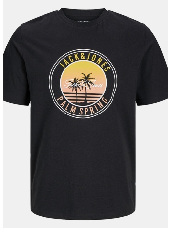 jack & jones jjpalm tee ss crew neck jnr (9000219425_1469)