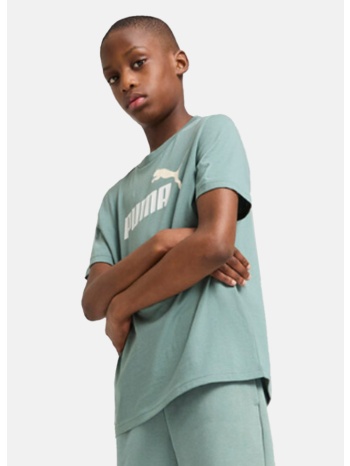 puma ess 2 color no.1 logo tee b (9000219036_84147)