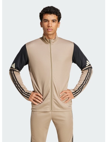 adidas squadra 25 training jacket (9000226986_85399)