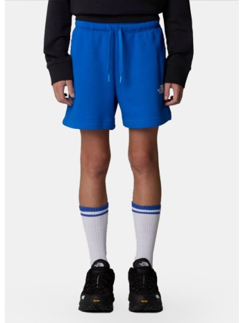 the north face b regular cotton shorts (9000218506_54744)