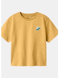 name it nmmfredery ss nreg top pb (9000219575_84222)