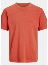jack & jones jorvarenna pigment dye tee ss crew ne (9000219405_84212)
