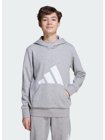 adidas sportswear essentials hoodie kids (9000239142_63041)