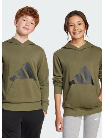 adidas sportswear essentials hoodie kids (9000239143_66161)