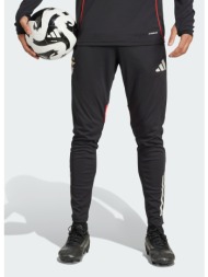 adidas benfica tiro 25 competition training pants (9000245632_1469)
