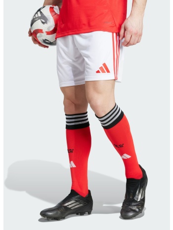 adidas benfica 25/26 home shorts (9000249146_1539)