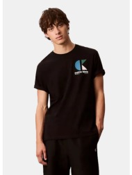 calvin klein logo ανδρικό t-shirt (9000243654_1469)