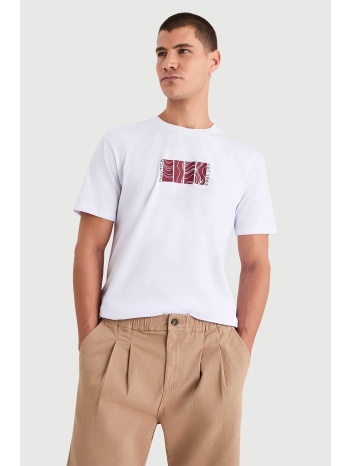 nautica ανδρικό t-shirt με graphic print `parett`  σε προσφορά