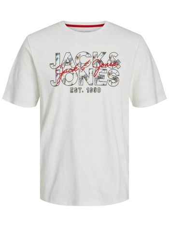 jack & jones ανδρικό t-shirt με graphic print regular fit 