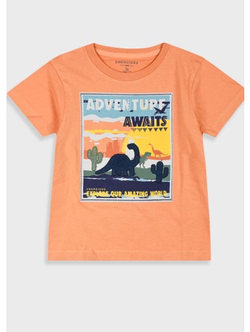 μπλούζα με τύπωμα για αγόρι - βερυκοκκι σε προσφορά