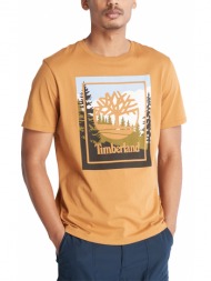 t-shirt timberland outdoor graphic t tb0a6f4k καμελ